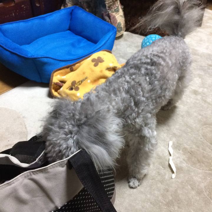 Dfde6616 01f2 4666 a4da 28d016b3680e