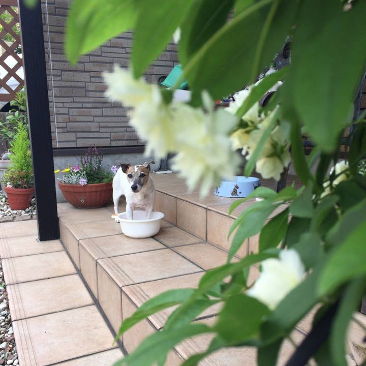 Dfdeb02f ef18 40f0 ae01 6dae2284a8ec