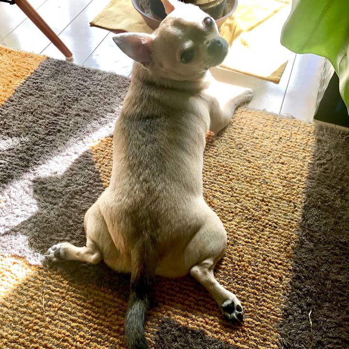 Dfdfffed e8d8 44ca 8be7 fd775b943632