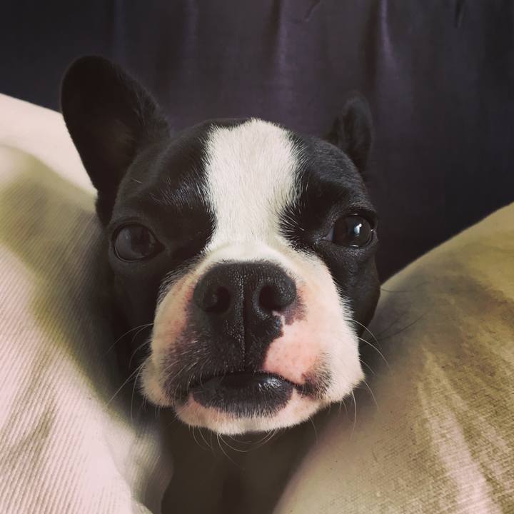 Dfe0e6c4 1e2a 417b b202 f69ad10c39ed