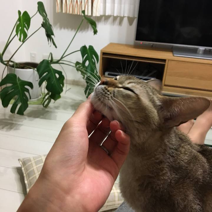 Dfe19a03 eccd 4c7f 8ee9 e0b5f428992d