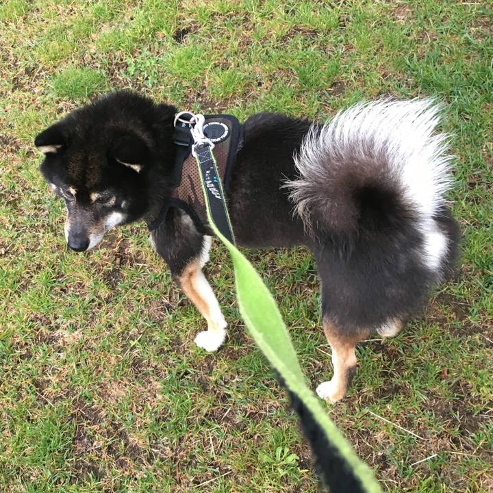 Dfe19d57 4b7a 4920 9368 ce9e20b372e4