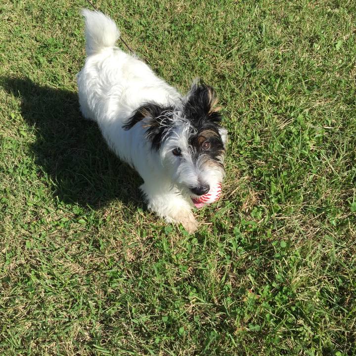 Dfe19f94 b73a 428f 9015 f08918f4a9ff