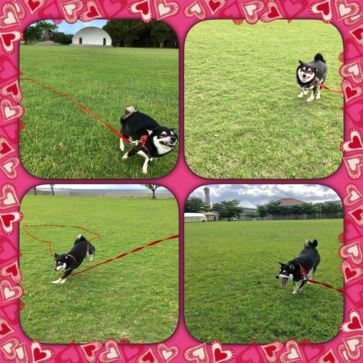 Dfe21e14 c8de 4daf 8c4e 4d7f29a93179