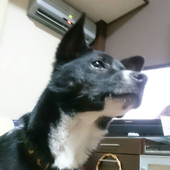 Dfe3259b 5663 4d79 a8f6 cee0e1fa965b