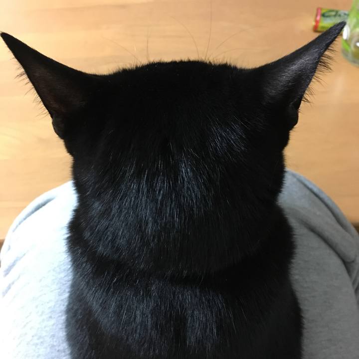 Dfe3f962 5408 4faf 8223 1f4bdb99f3dd