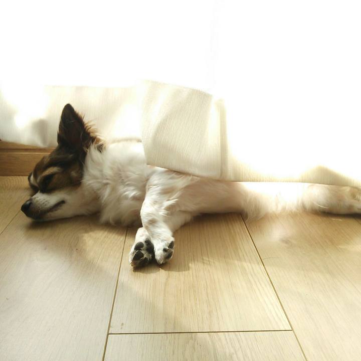 Dfe40beb 5d0c 4517 ab93 46d53bce2b51