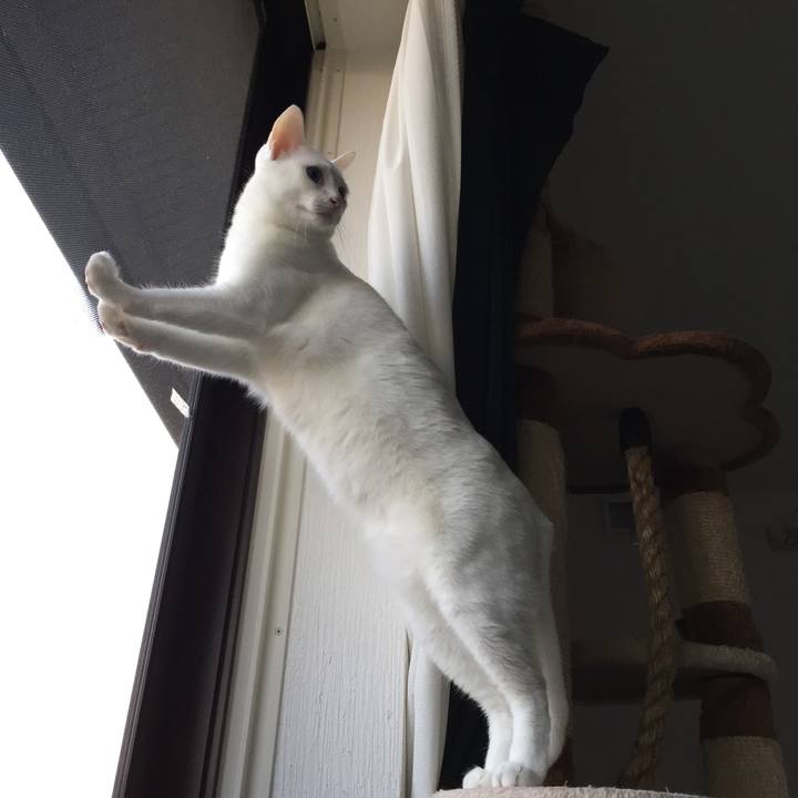 Dfe4d423 5693 4417 9a55 9199e435bc7b