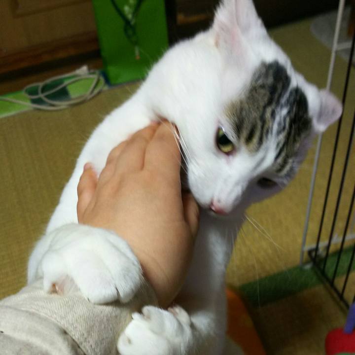 Dfe57781 d25e 46e6 9f54 1b44b7722d60