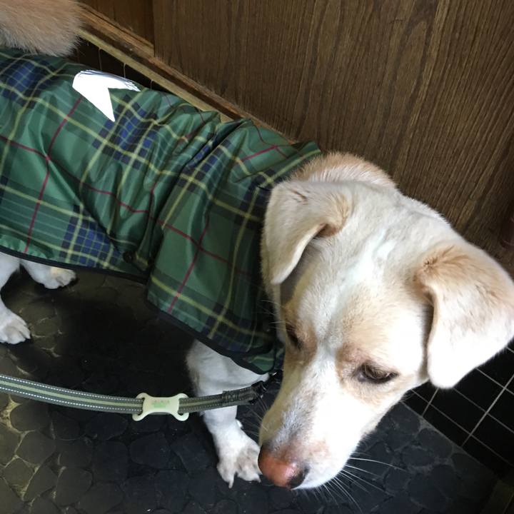 Dfe5c1c5 9eff 43f8 ac7b 48ebb640e332