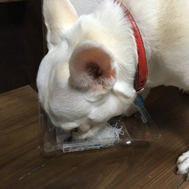 Dfe5e4f7 9f44 4e97 b0be 842514453ed1