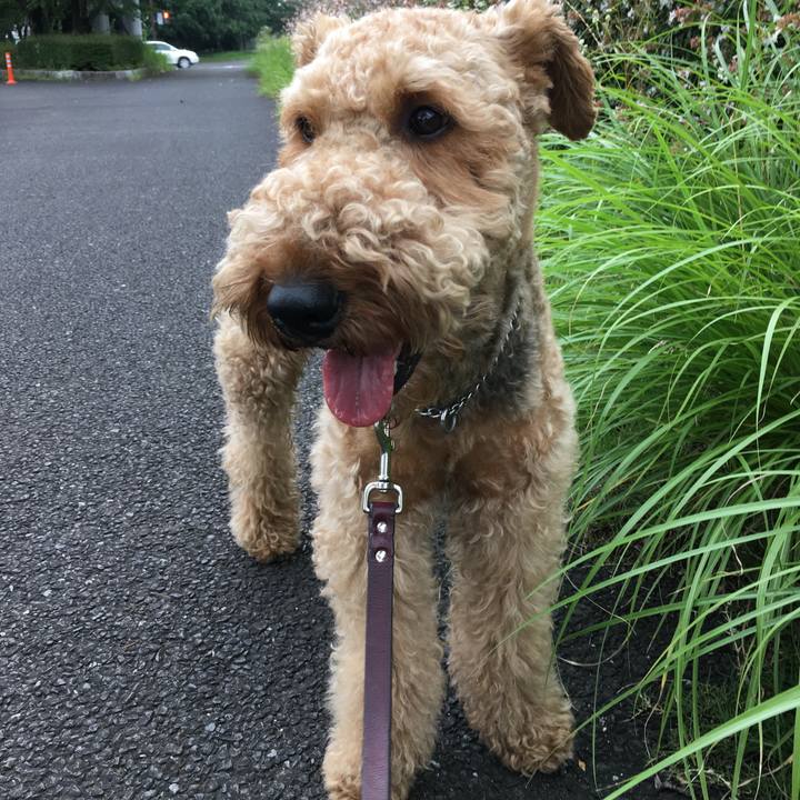 Dfe5fe2a 31c0 4279 9f64 be220c17791d