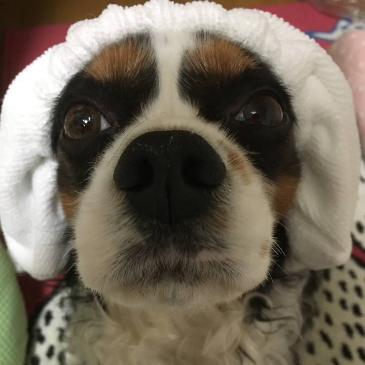 Dfe6cdf8 47f2 40ae 845f a34e5f0f91f3