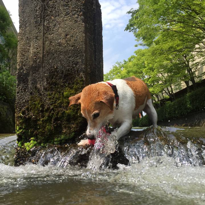 Dfe71ec9 32c3 4ee7 8535 0040b31a1707