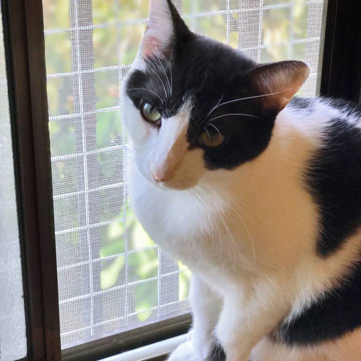 Dfe86ca4 8e59 40ab 9eae 82057fee37a8