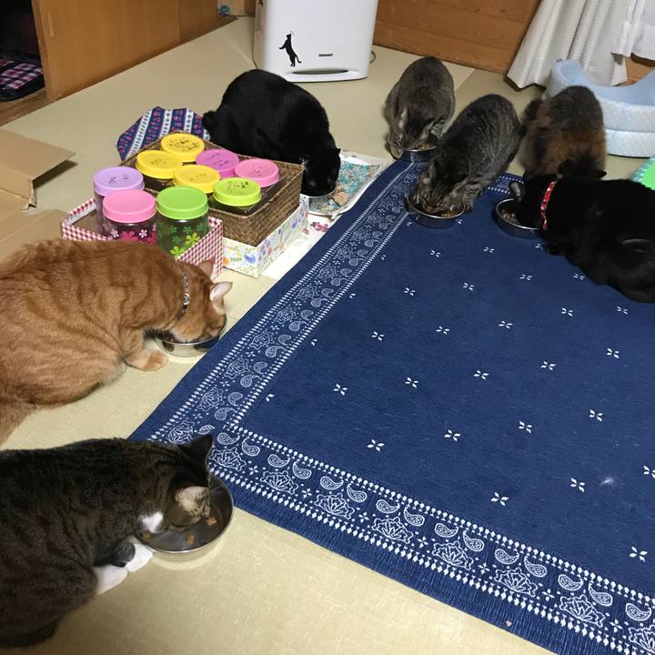 Dfe8fd3c 6b0c 47f9 9b30 daa10c5ef967