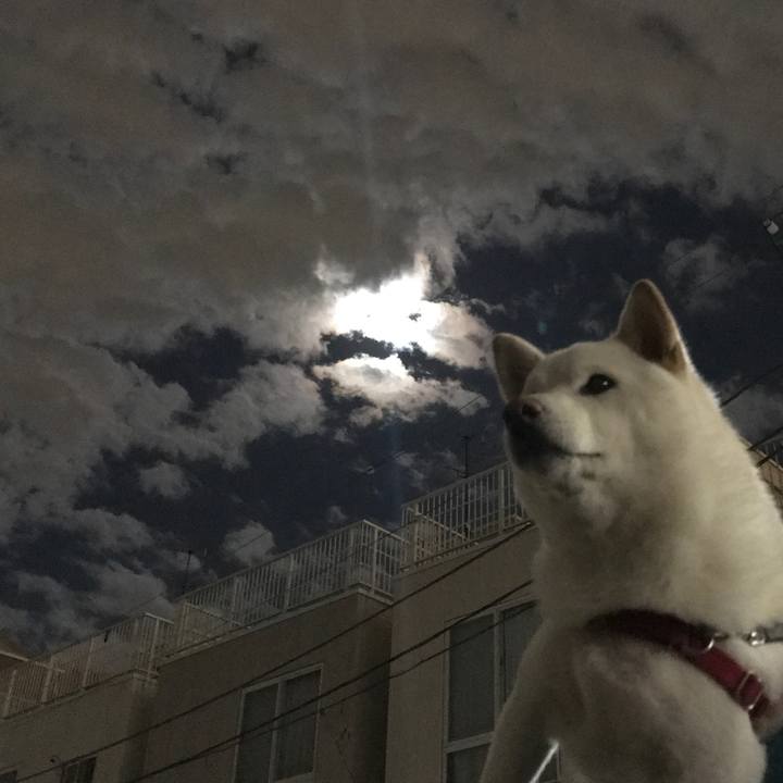 Dfe93e99 c7ae 4a94 b2d1 1f91f081cc36