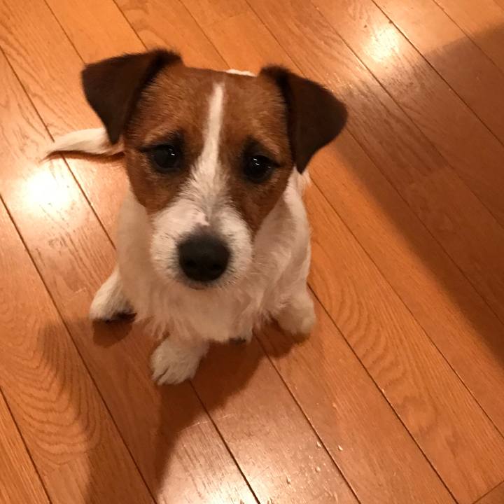 Dfe950ff ffb9 4685 8f19 4c44c56fdf01