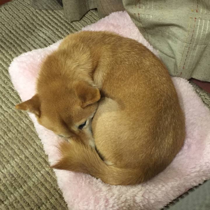 Dfe967ba 2aee 4f36 a938 9f7a34693ae8