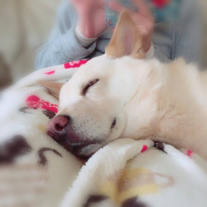 Dfe971a8 f058 4467 bc90 377510614ca3