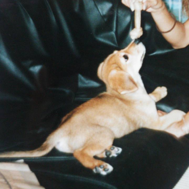 Dfea142a b964 4753 8802 273c3057617c