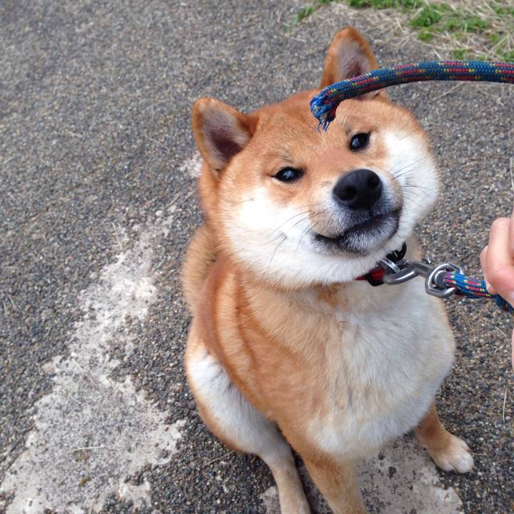 Dfea40e8 adec 4aa7 a355 ba6bc1d67391