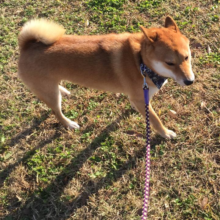 Dfeb5fdf a6ad 44c2 8c28 7440858849f7