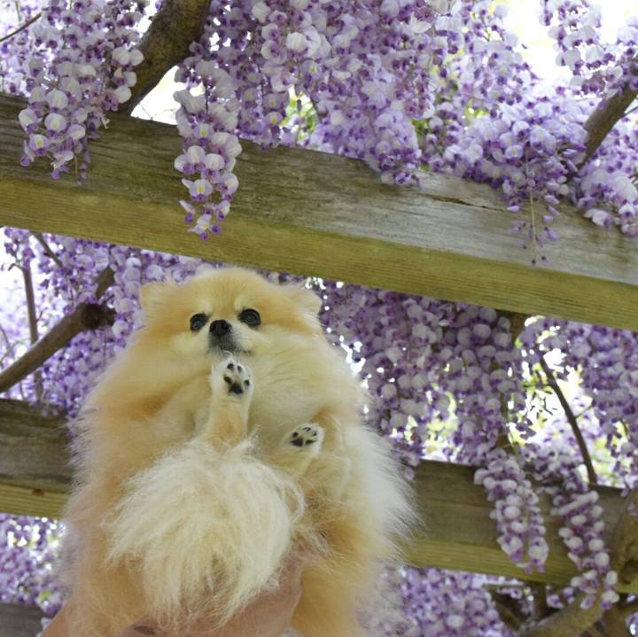 Dfebcafc 937b 4df0 a920 5d28c65ab0da