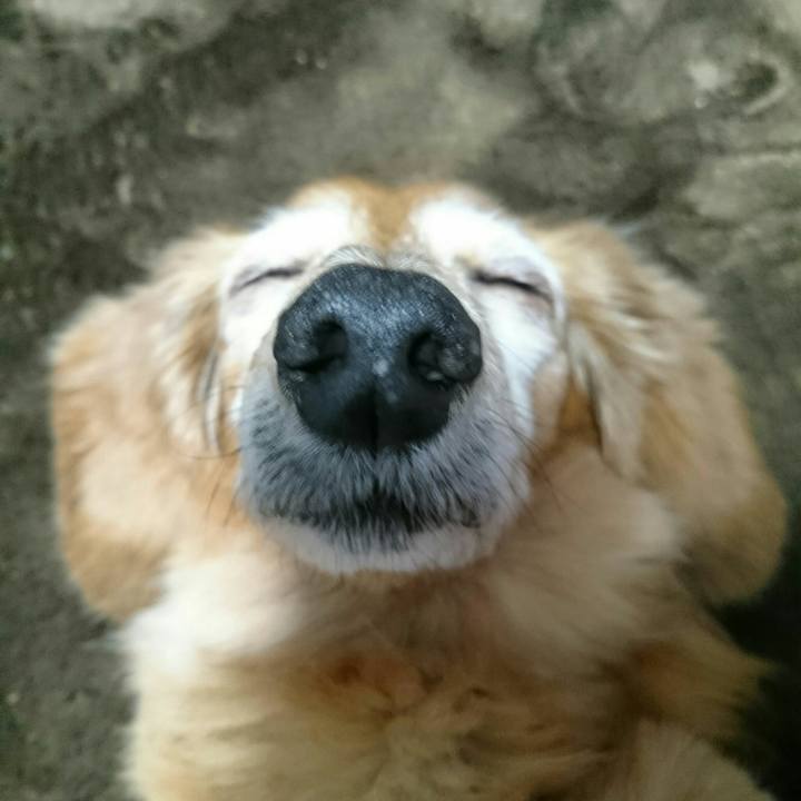 Dfec5083 16c1 4bc2 b872 af5ea9418b59