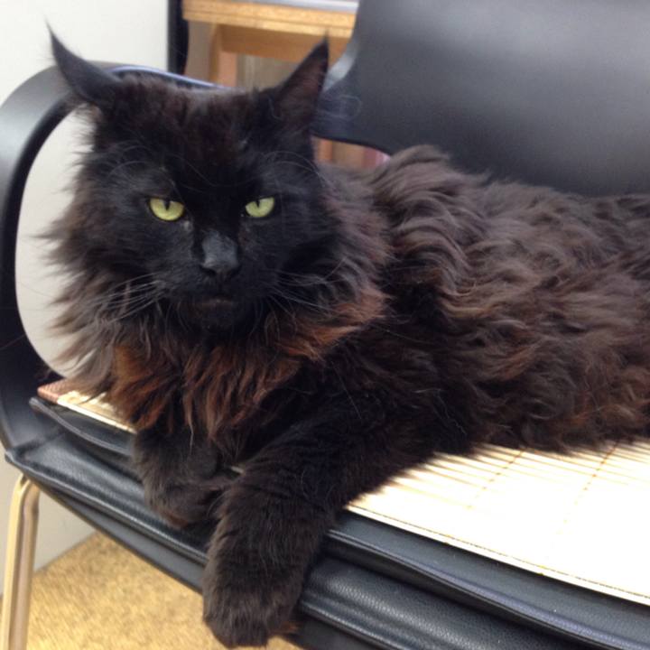 Dfec6d4d a85d 4ab0 80c3 66d306ba4ecb