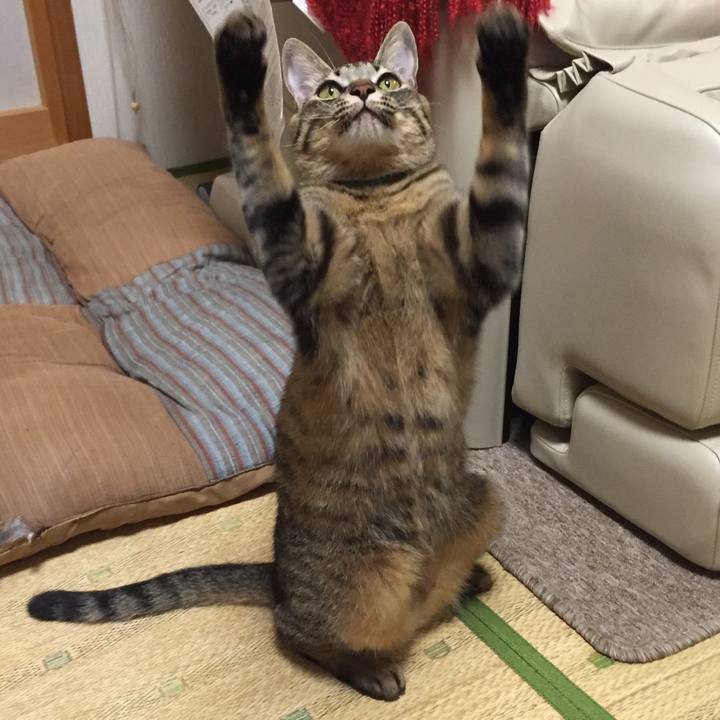 Dfec8a10 45f0 4c2a 91f4 96f5b41a55d3