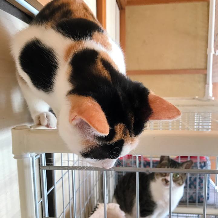 Dfec919f 7932 4aa7 8b34 7d59ce3f1fe5