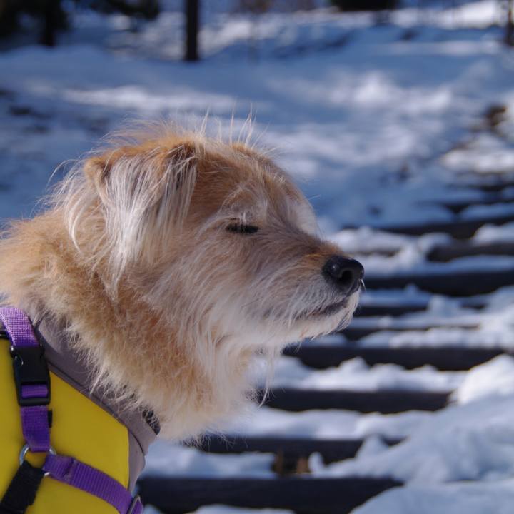 Dfeccb5e 2270 4bd6 8911 ecafd179a8be