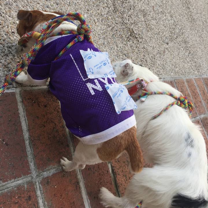 Dfed4a89 7414 4670 b16e 3f9adda03d2d