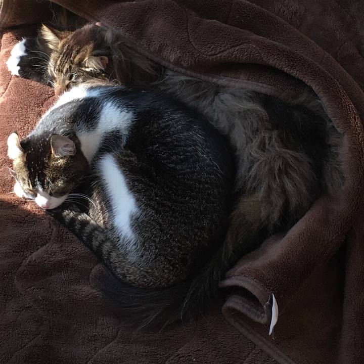 Dfedbcaa 8dff 4443 9185 c2bb66146af0