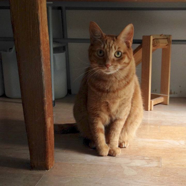 Dfedcf39 921e 4a55 9415 67a51758c9db