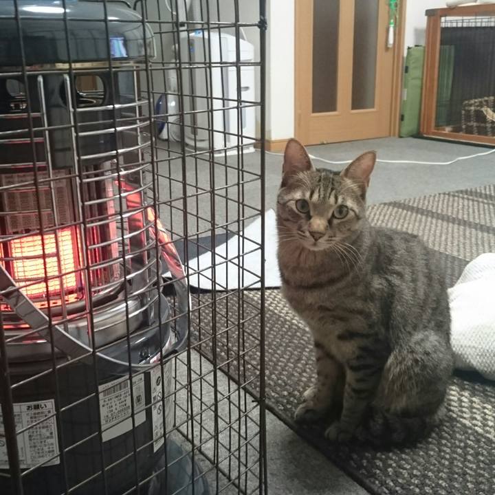 Dfeec40b a9e8 464d bce1 f80c8cfd96ae