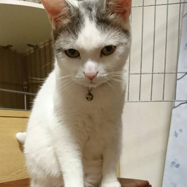 Dfef0193 5b84 45ea 8917 32463aa134b2