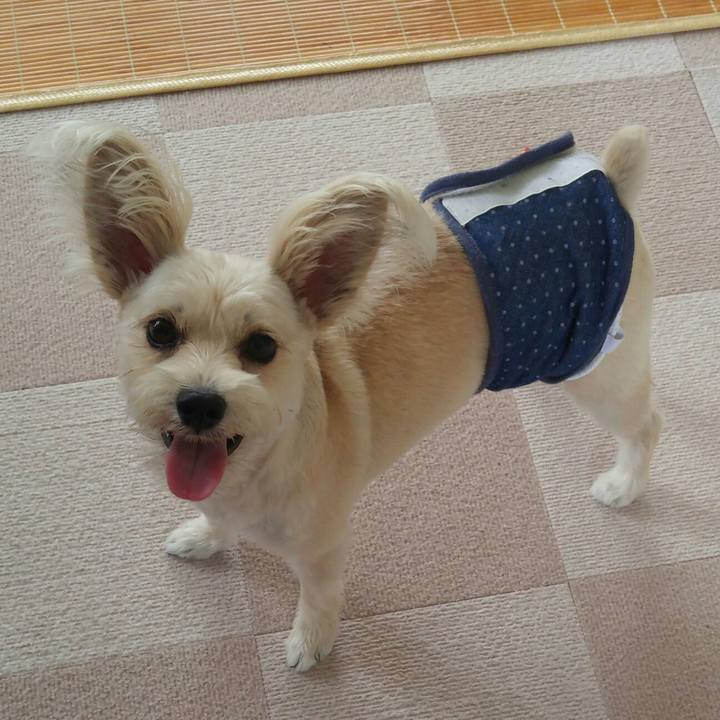 Dfef7118 1cbd 46c6 a7ee f0874e060848