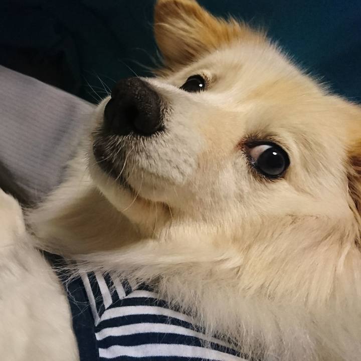 Dfefebfd 6214 4476 bdea 8ab06733e4a1