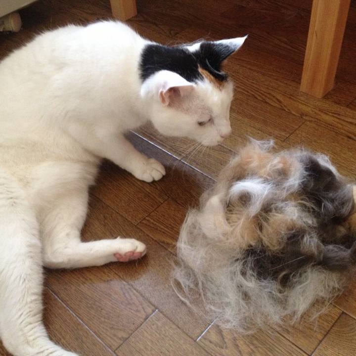 Dff04bf4 93b8 400e ad99 ed012b8ff893