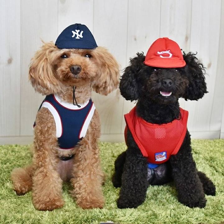 Dff06903 8a5d 4b28 ad73 b7101c2a4337