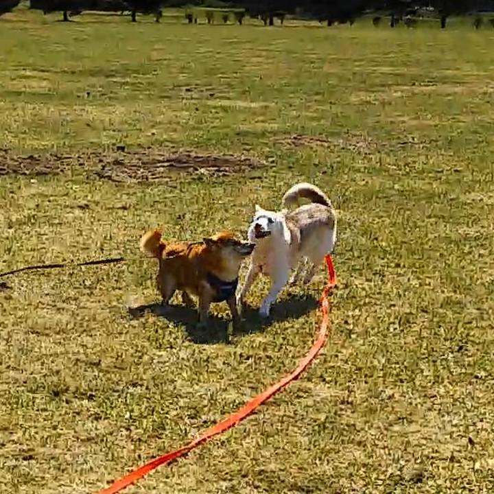 Dff08f53 80f5 485f bb5f da94fce7eb7f