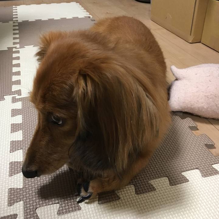 Dff14774 99e3 461d b0c2 c000d649f768