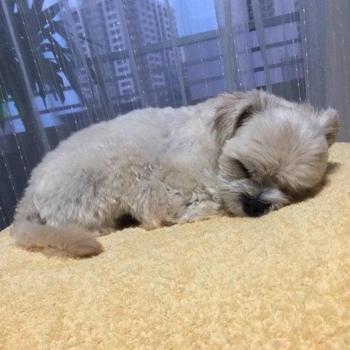 Dff17790 a6d0 4d4d bf8b 5e28a11c1b33