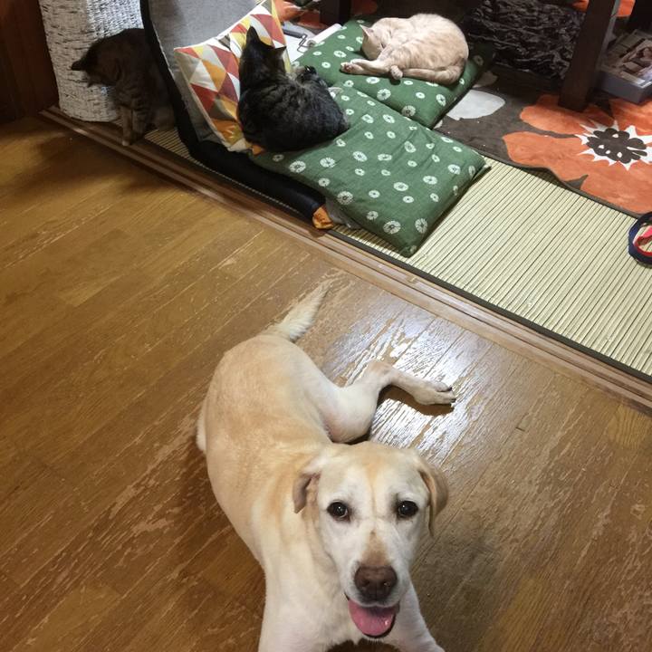 Dff28e8c 1a38 4657 94b4 c33a936e43ac