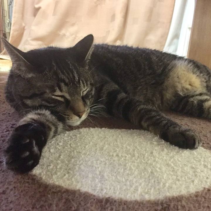 Dff2a68b f3ff 4bac 8d5d 08fc6770c4c0