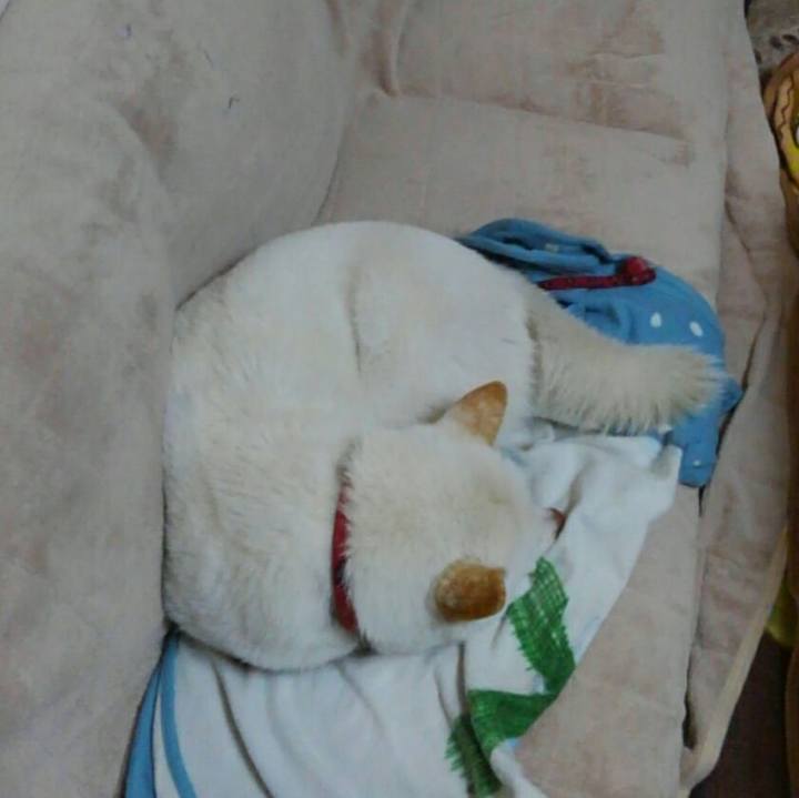 Dff2cb11 30be 417b 85bf 7746bcfb38c0