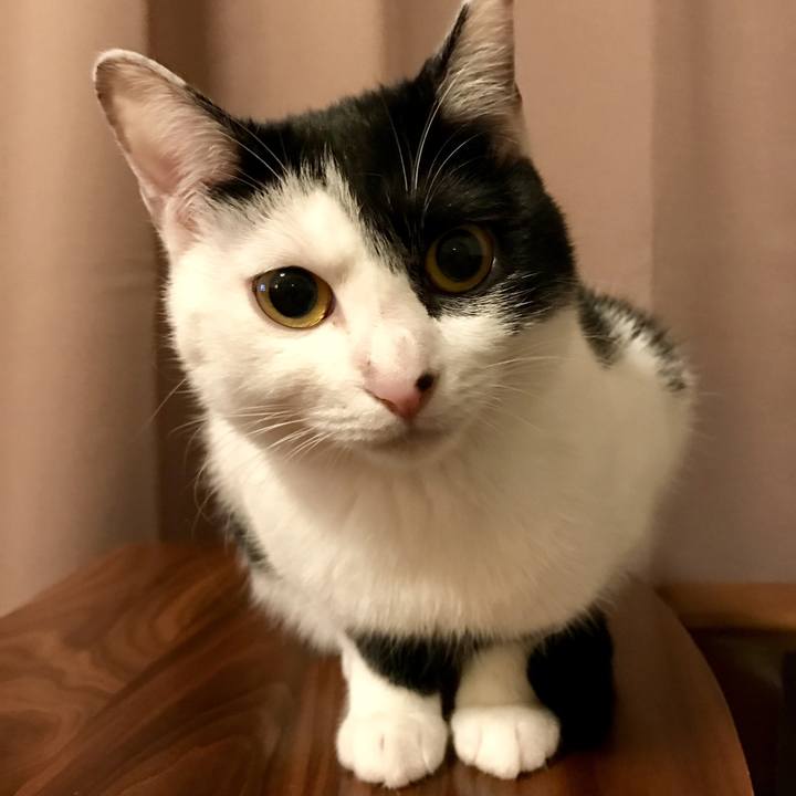 Dff33d7e 945f 4b1b 87bd 66e881c69190