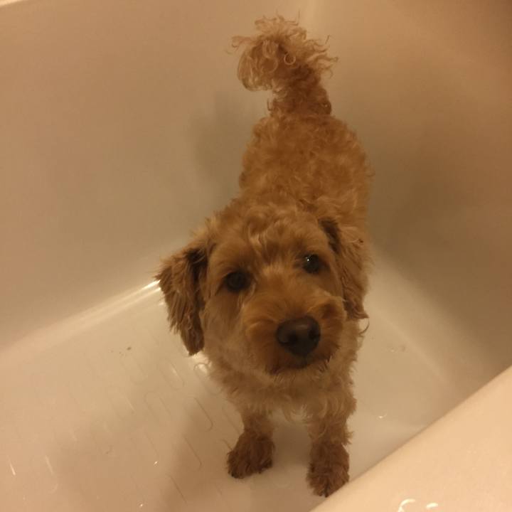 Dff3c909 1bb3 4e38 9155 63b19a810fac